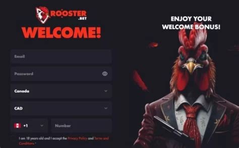 Rooster bet casino mobile